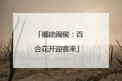 福建闽侯：百合花开迎客来