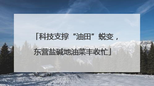 科技支撑“油田”蜕变，东营盐碱地油菜丰收忙
