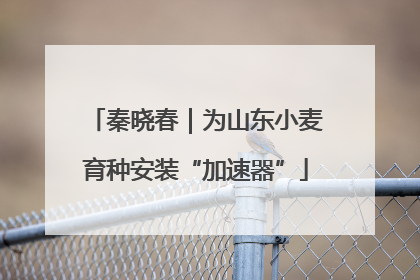 秦晓春｜为山东小麦育种安装“加速器”