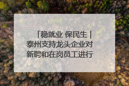 稳就业 保民生｜泰州支持龙头企业对新聘和在岗员工进行实训——到岗就能用 用了就见效