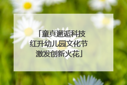 童真邂逅科技 红升幼儿园文化节激发创新火花