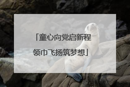 童心向党启新程 领巾飞扬筑梦想