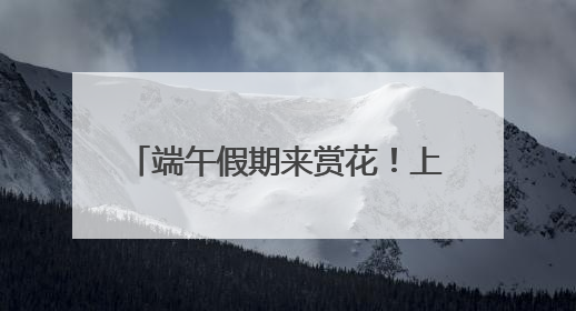 端午假期来赏花！上海滨江森林公园绣球花展5月31日开幕