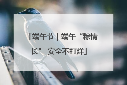 端午节｜端午“粽情长” 安全不打烊