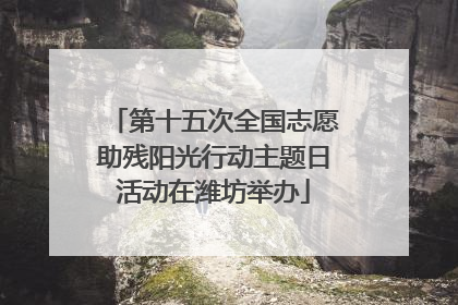 第十五次全国志愿助残阳光行动主题日活动在潍坊举办