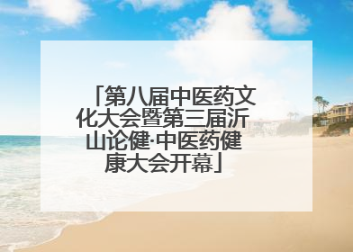 第八届中医药文化大会暨第三届沂山论健·中医药健康大会开幕