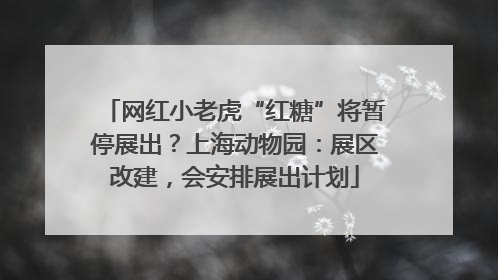网红小老虎“红糖”将暂停展出？上海动物园：展区改建，会安排展出计划