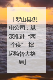 罗山县供电公司：纵深推进“两个度” 撑起监督大格局