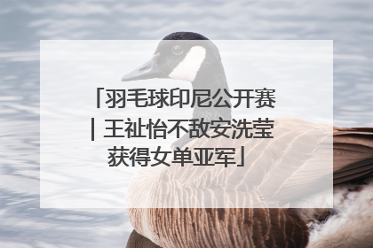 羽毛球印尼公开赛｜王祉怡不敌安洗莹 获得女单亚军