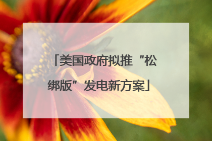美国政府拟推“松绑版”发电新方案