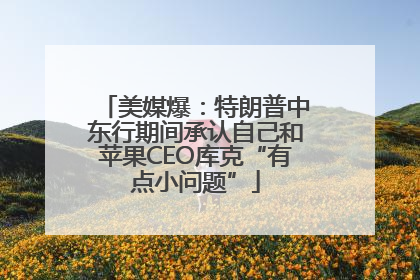 美媒爆：特朗普中东行期间承认自己和苹果CEO库克“有点小问题”