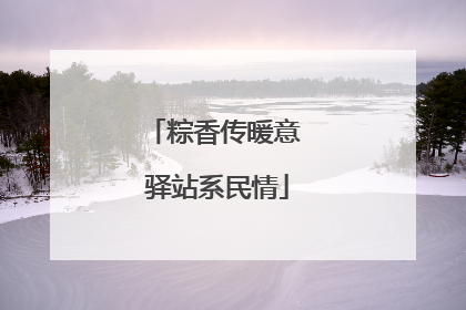 粽香传暖意 驿站系民情
