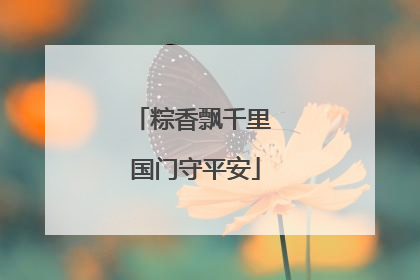 粽香飘千里 国门守平安