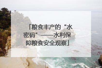 粮食丰产的“水密码”——水利保障粮食安全观察