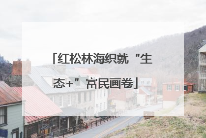 红松林海织就“生态+”富民画卷