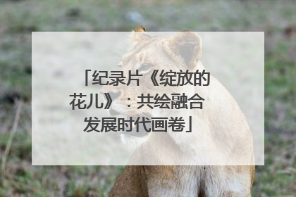 纪录片《绽放的花儿》：共绘融合发展时代画卷