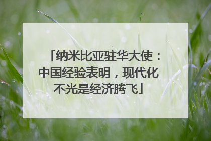 纳米比亚驻华大使：中国经验表明，现代化不光是经济腾飞