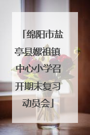 绵阳市盐亭县嫘祖镇中心小学召开期末复习动员会