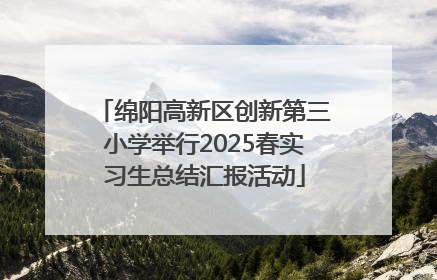 绵阳高新区创新第三小学举行2025春实习生总结汇报活动
