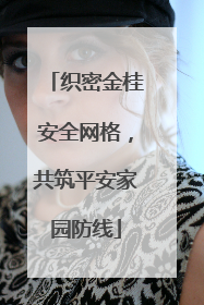 织密金桂安全网格，共筑平安家园防线