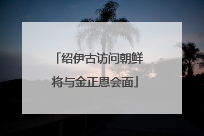 绍伊古访问朝鲜 将与金正恩会面