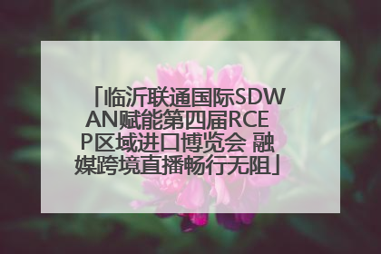 临沂联通国际SDWAN赋能第四届RCEP区域进口博览会 融媒跨境直播畅行无阻