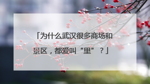 为什么武汉很多商场和景区，都爱叫“里”？