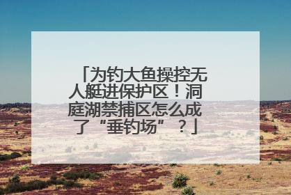 为钓大鱼操控无人艇进保护区！洞庭湖禁捕区怎么成了“垂钓场”？
