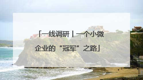 一线调研丨一个小微企业的“冠军”之路