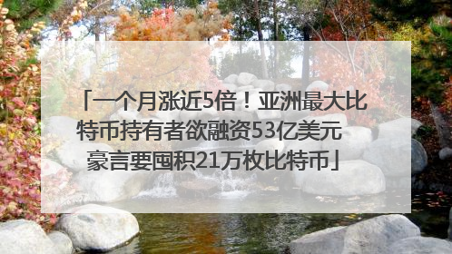 一个月涨近5倍！亚洲最大比特币持有者欲融资53亿美元 豪言要囤积21万枚比特币