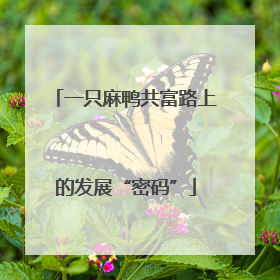 一只麻鸭共富路上的发展“密码”