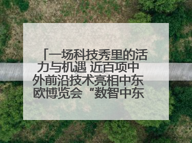 一场科技秀里的活力与机遇 近百项中外前沿技术亮相中东欧博览会“数智中东欧”板块