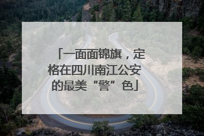 一面面锦旗，定格在四川南江公安的最美“警”色