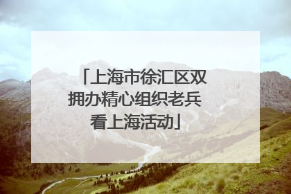 上海市徐汇区双拥办精心组织老兵看上海活动