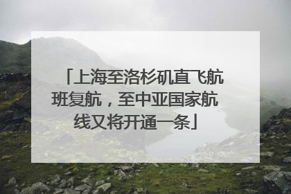 上海至洛杉矶直飞航班复航，至中亚国家航线又将开通一条