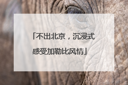 不出北京，沉浸式感受加勒比风情