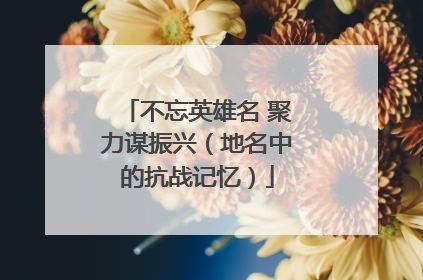 不忘英雄名 聚力谋振兴（地名中的抗战记忆）