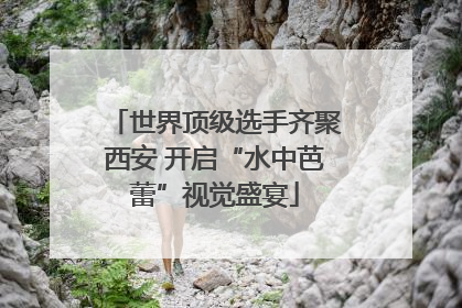 世界顶级选手齐聚西安 开启“水中芭蕾”视觉盛宴