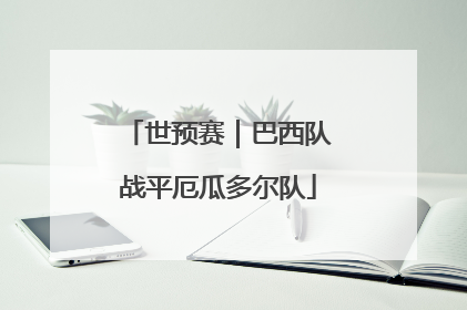 世预赛｜巴西队战平厄瓜多尔队
