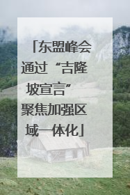 东盟峰会通过“吉隆坡宣言” 聚焦加强区域一体化