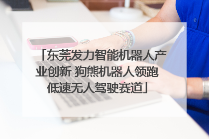 东莞发力智能机器人产业创新 狗熊机器人领跑低速无人驾驶赛道