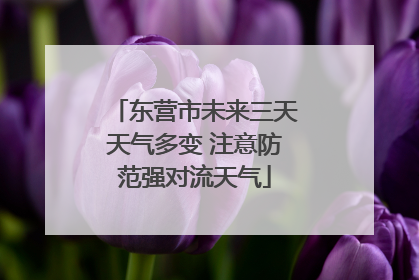 东营市未来三天天气多变 注意防范强对流天气