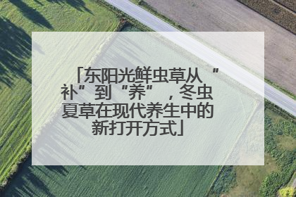 东阳光鲜虫草从“补”到“养”，冬虫夏草在现代养生中的新打开方式