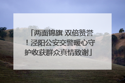 两面锦旗 双倍赞誉！泾阳公安交警暖心守护收获群众真情致谢