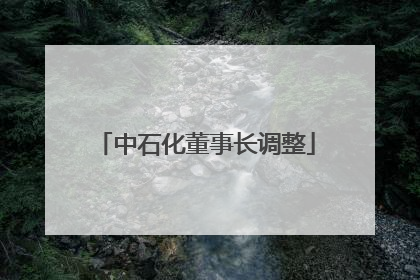中石化董事长调整