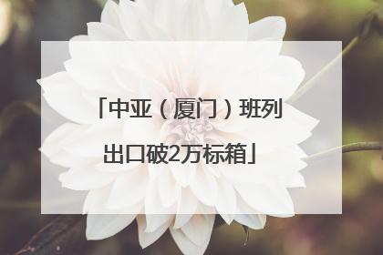 中亚（厦门）班列出口破2万标箱