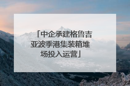 中企承建格鲁吉亚波季港集装箱堆场投入运营