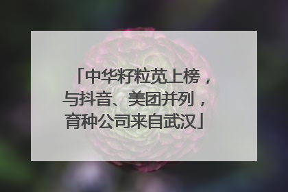 中华籽粒苋上榜，与抖音、美团并列，育种公司来自武汉