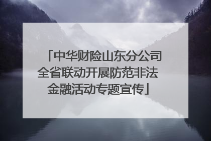 中华财险山东分公司全省联动开展防范非法金融活动专题宣传