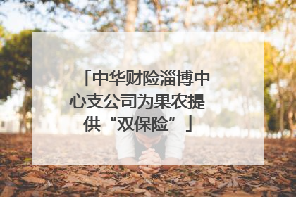 中华财险淄博中心支公司为果农提供“双保险”